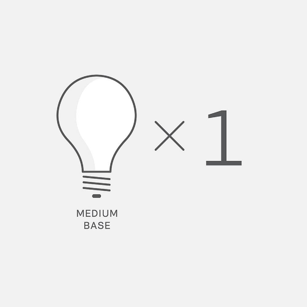 Sebring 1-Light Brushed Stainless Industrial Nautical Outdoor 9.25 In. Ceiling Fixture